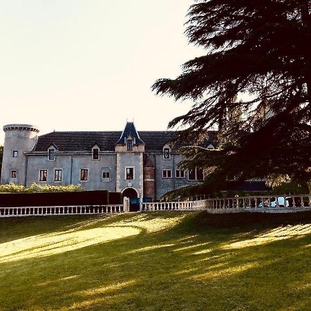 Chateau De Fontager セールヴ・シュル・ローヌ エクステリア 写真