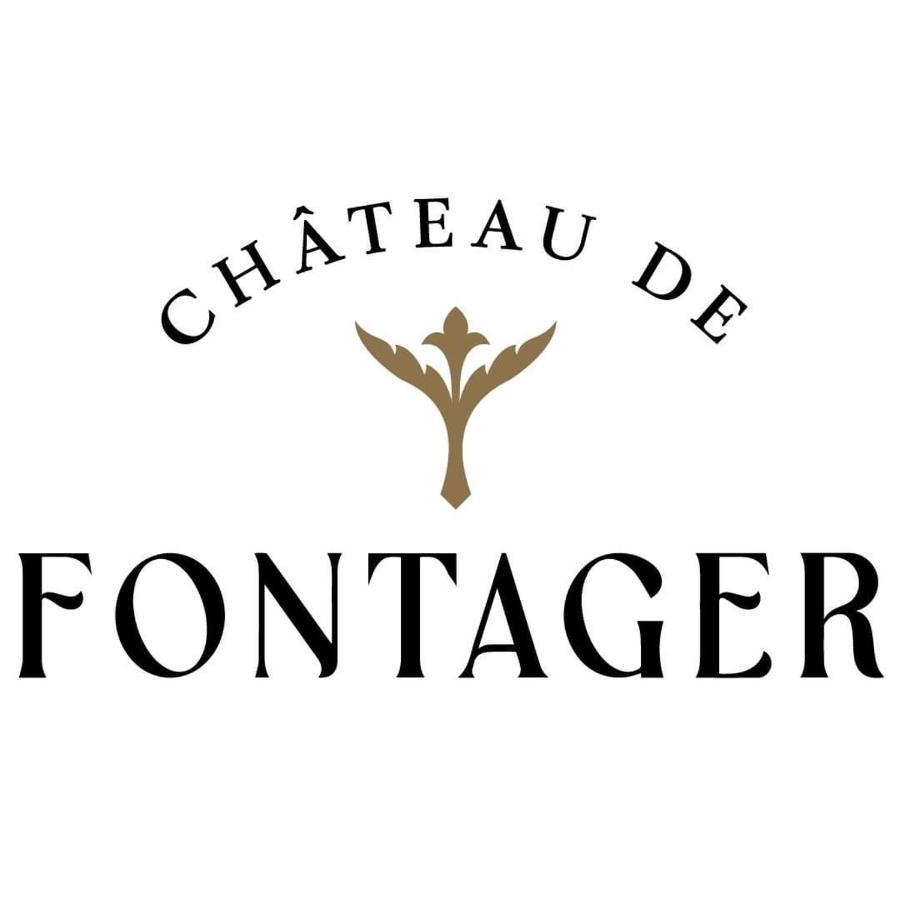 Chateau De Fontager セールヴ・シュル・ローヌ エクステリア 写真