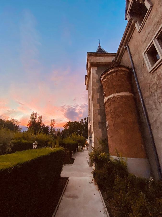 Chateau De Fontager セールヴ・シュル・ローヌ エクステリア 写真