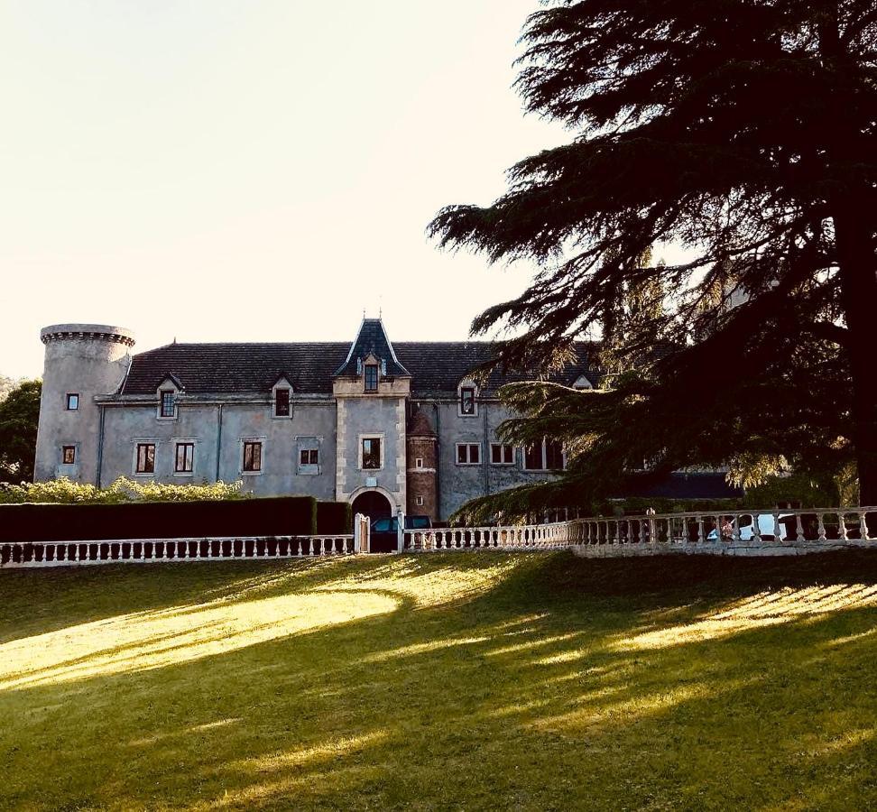 Chateau De Fontager セールヴ・シュル・ローヌ エクステリア 写真